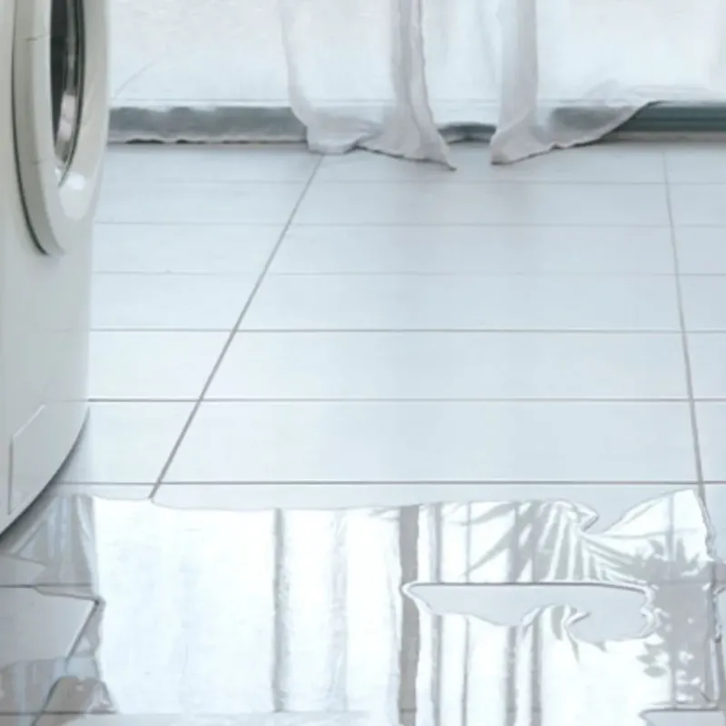 Appliance Leak Cleanup in Palm Springs North, FL
